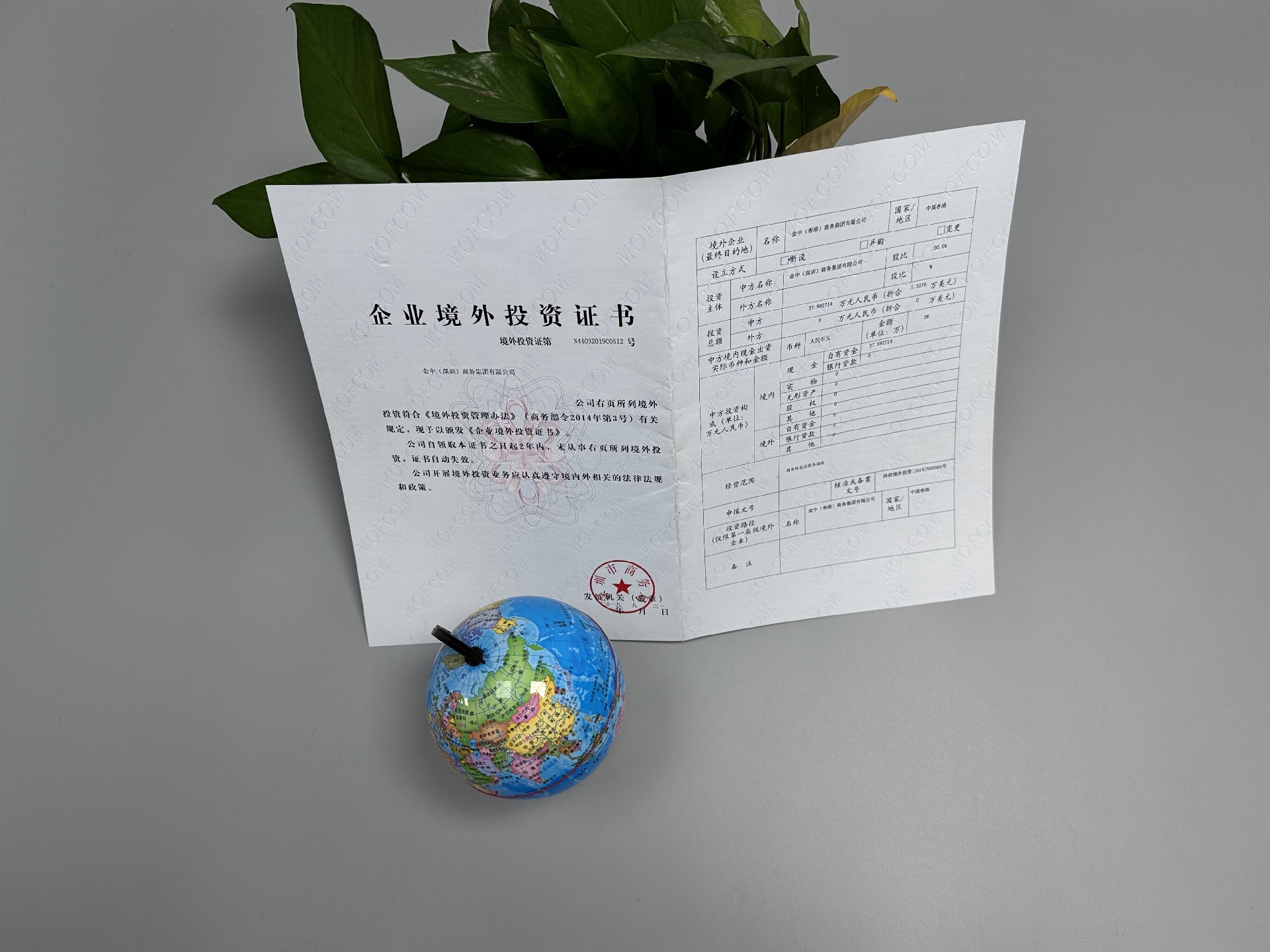 企業(yè)境外投資 企業(yè)境外投資