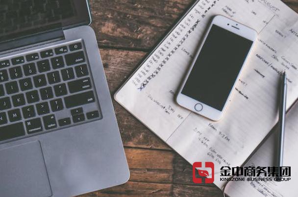 美國(guó)公司年審