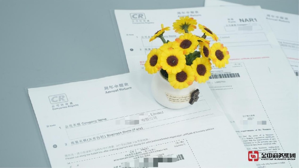 香港公司年審竟藏致命風(fēng)險(xiǎn)？逾期后果超乎想象！